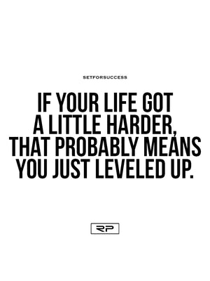 Leveled Up - 18x24 Poster